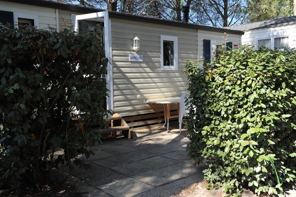 Camping Les Castors Calvi  Exterior foto