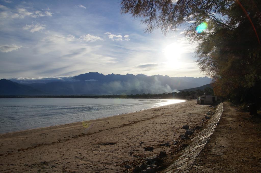 Camping Les Castors Calvi  Exterior foto